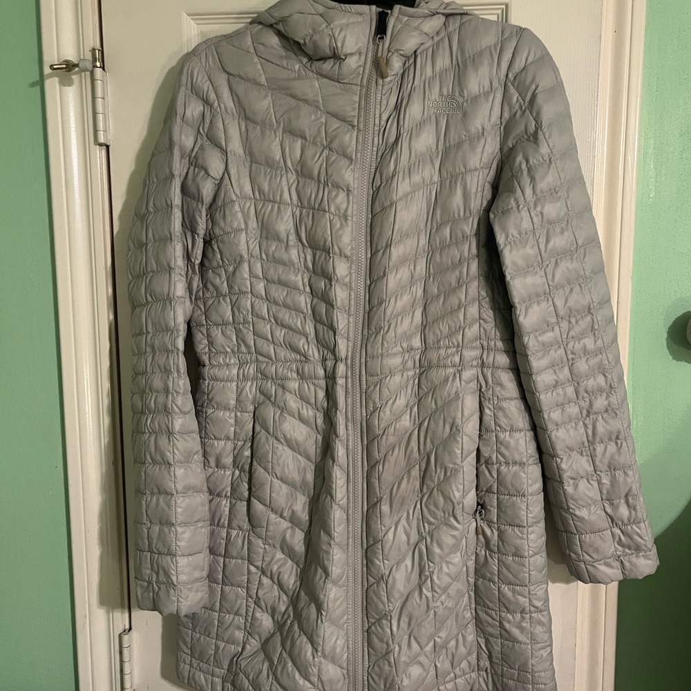 The North Face Gray Puffer Coat with Hood